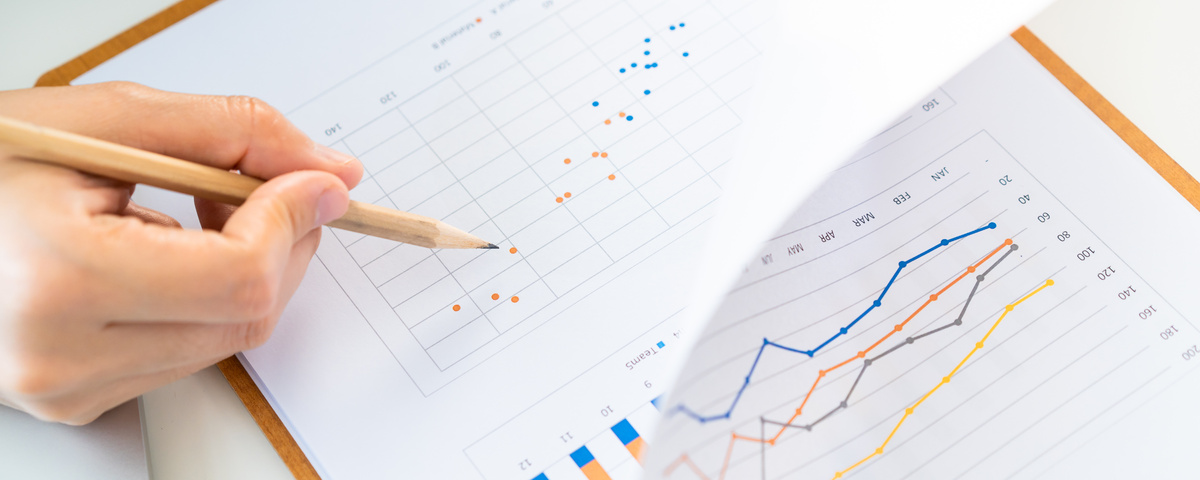 Woman reviewing an annual report.